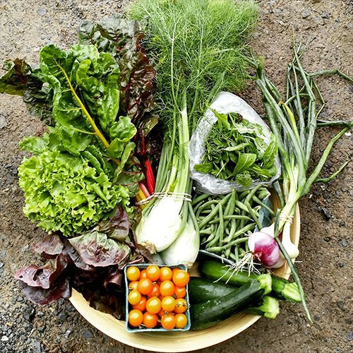Mother's Day Gift - Organic Vegetable  Basket